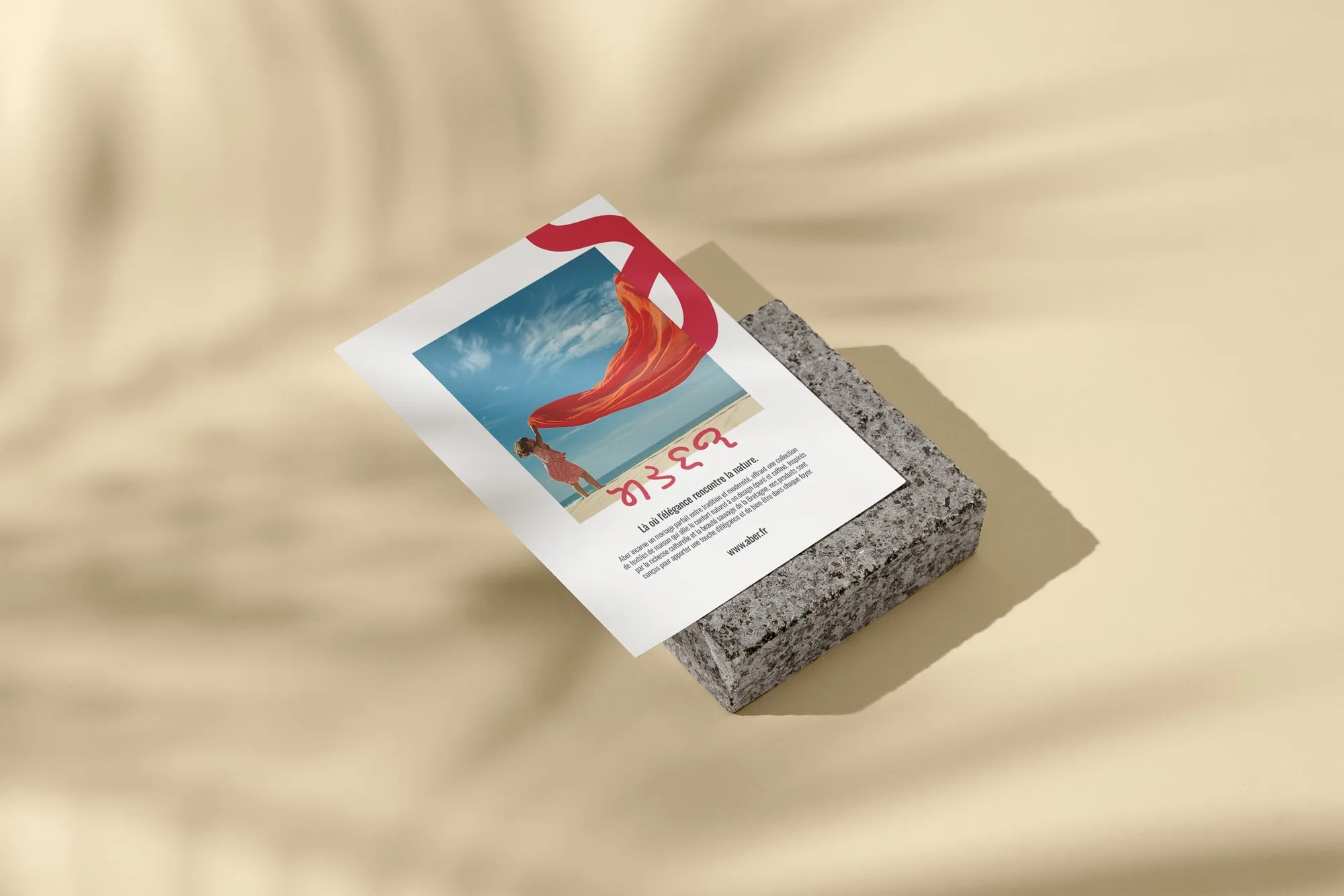 Flyer Aber posé sur une pierre