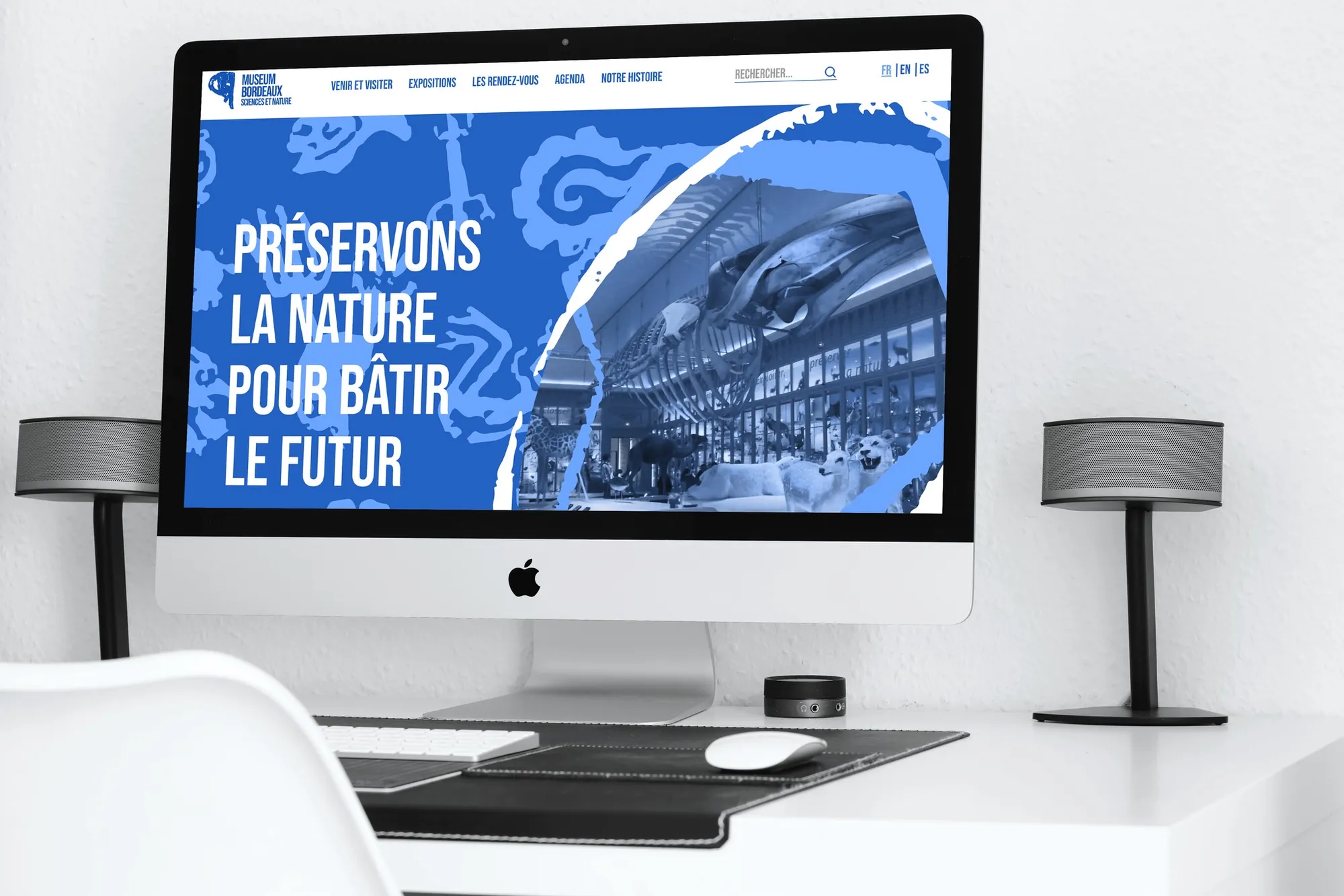 Le site du Muséum sur un écran d'ordinateur